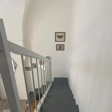 Fior Di Loto Centro Storico